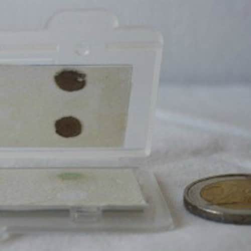 A small translucent case containing a rectangular card with two brown spots is placed on a surface. A coin is positioned to the right of the case for size comparison.