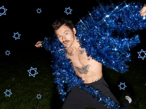 Harry Styles (image by Elizabeth Karpen // original image from Netflix)