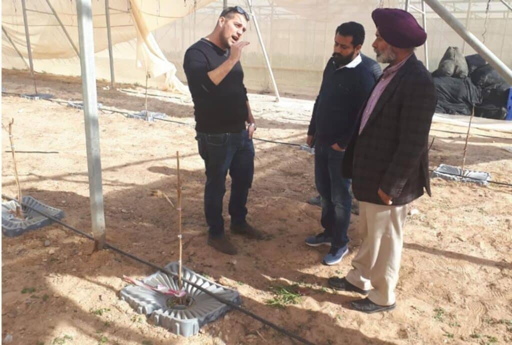 In January 2019, academicians from Punjab Agriculture University, India, came to see Tal-Ya in use at the Arava R&D Center in Israel. Photo: courtesy