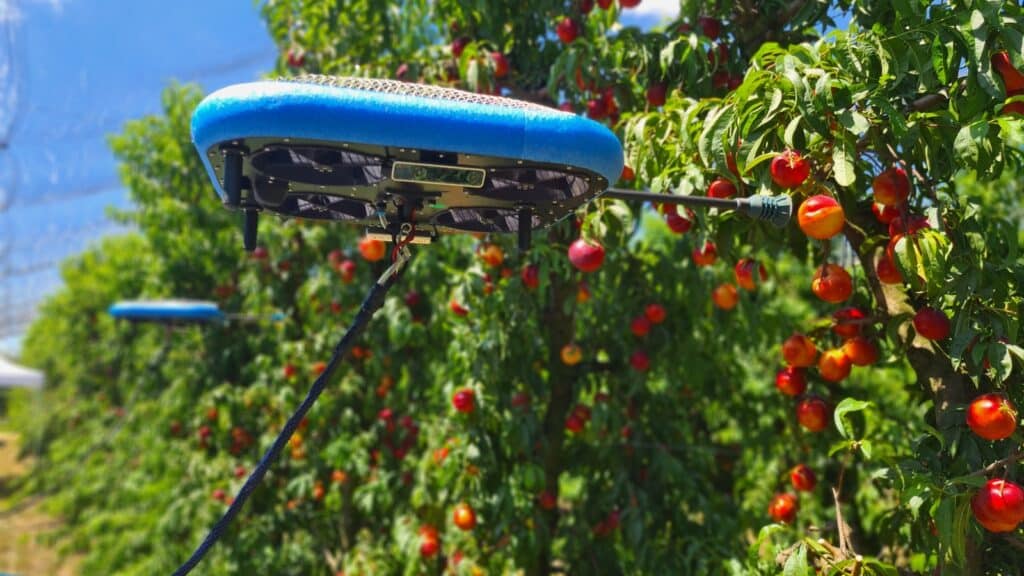 A Tevel Aerobotics FAR on the job in Italy. Photo courtesy of Tevel